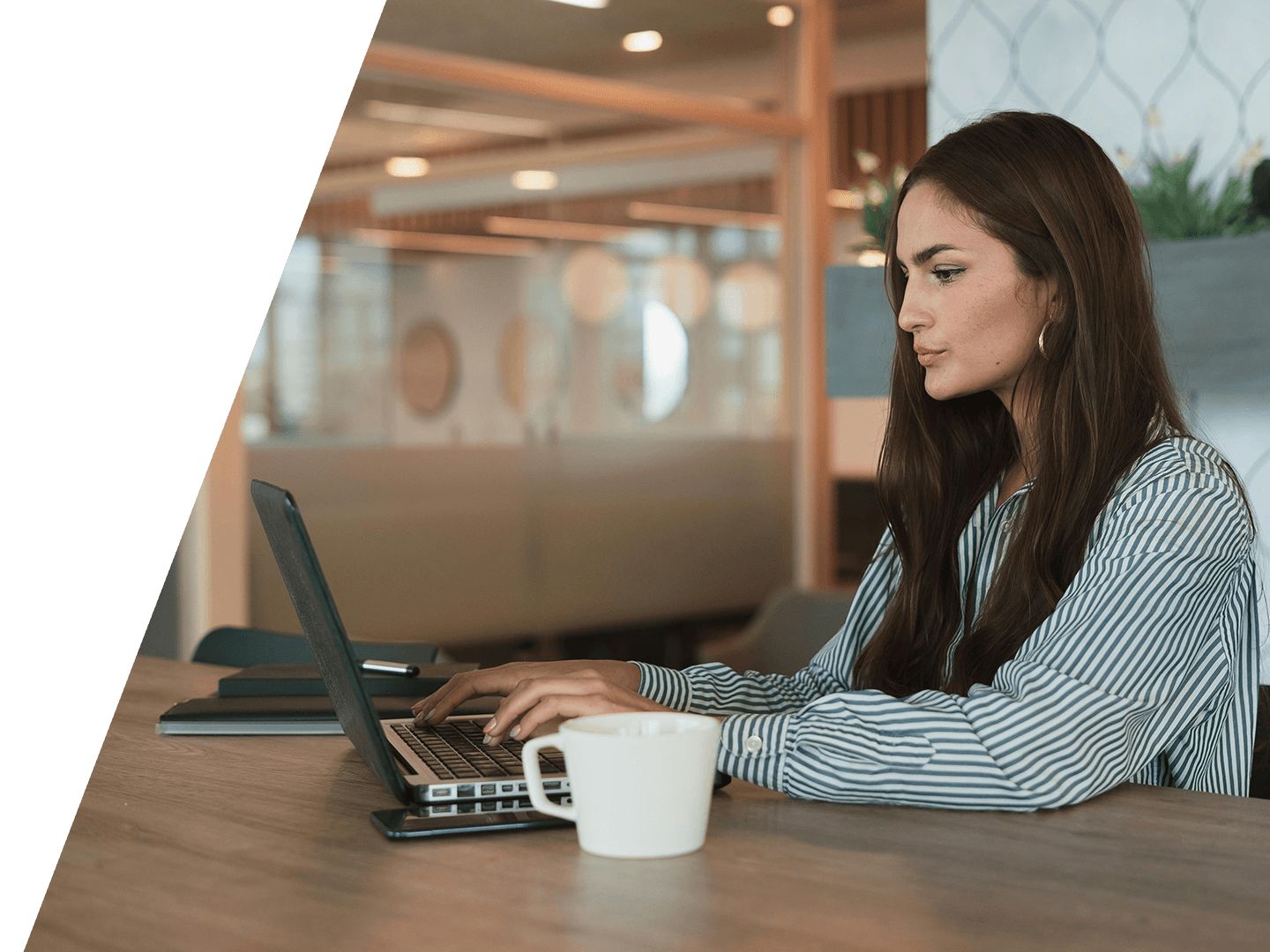 Online learning courses platform preview - WordPress + AI Mastery: Build Websites Faster with AI Tools (Hindi Course)